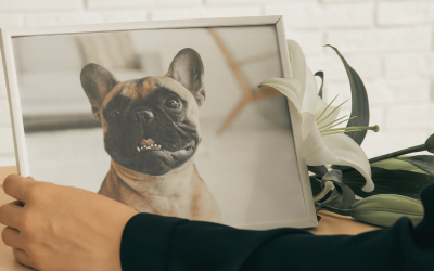 Communiquer avec un animal décédé : faut-il vraiment attendre ?